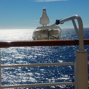 Meet your Posher, Hosea